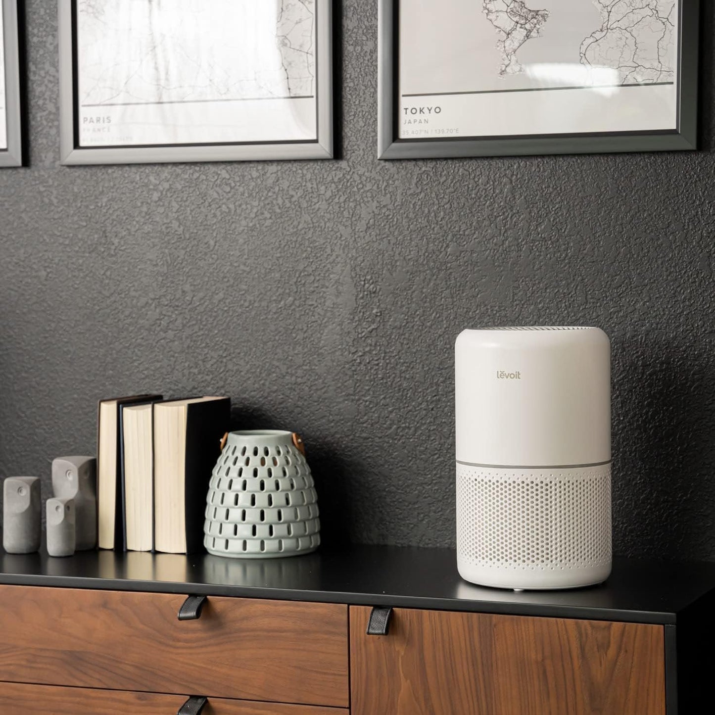 LEVOIT Air Purifier for Home Allergies 