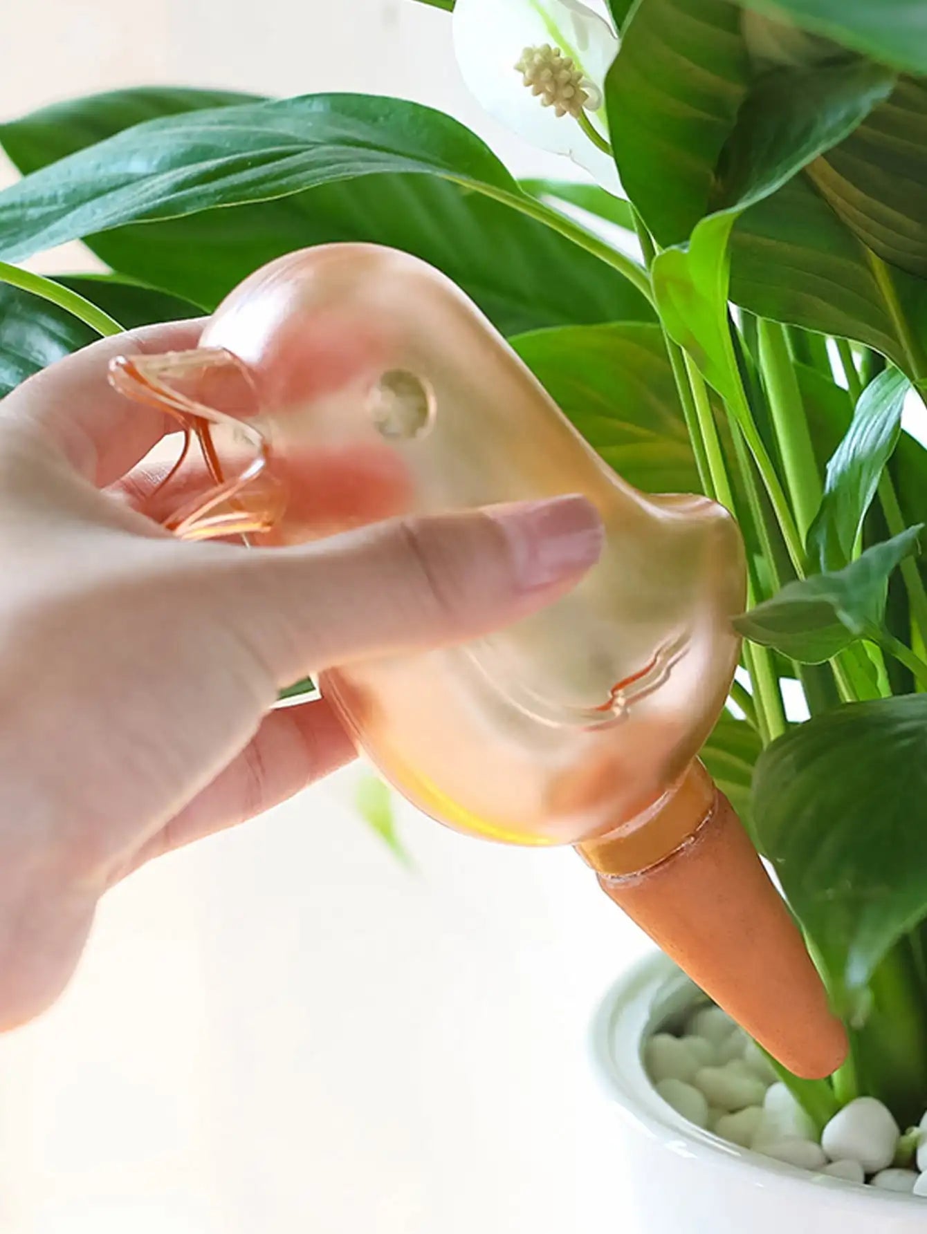 Hand Blown Bird Water Source for Potted Plants 